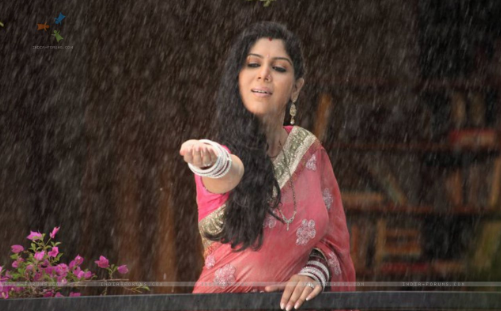 Bade Achhe Lagte Hain 2nd January 2014 Written Episode Update