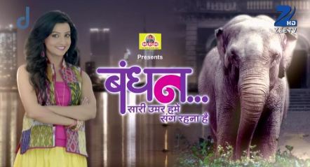 Bandhan 21st February 2015 Written Episode Update