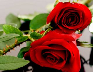 An unexpected love (episode 2)