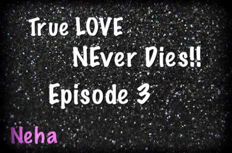 download true love never download true love never