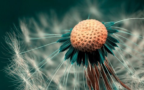 Our love story ( episode 1)