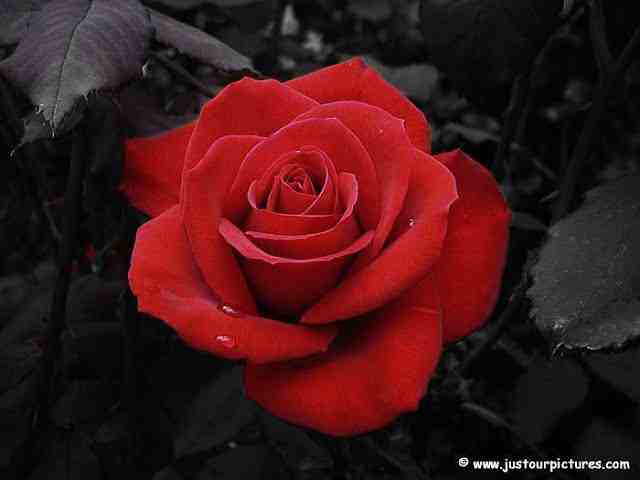 WAS THAT YOU ? Episode 6