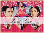 Janam Janam ka pyar ( love story of tei) twinj special
