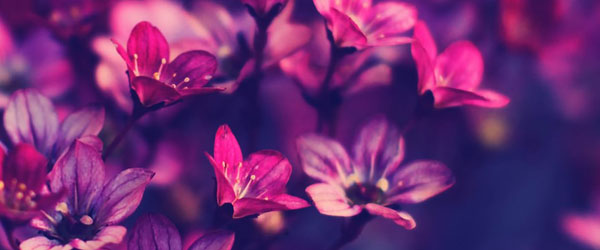 Mission : SAVE ABHIGYA ! Part 2