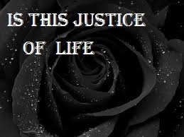 IS THIS JUSTICE OF LIFE (Episode 8)