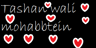 TASHAN WALI MOHABBATEIN (intro)