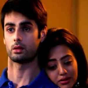 Let’s Fall in Love (Introduction)