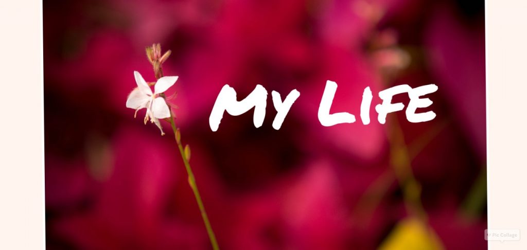 My life (epi 3) (rewind)
