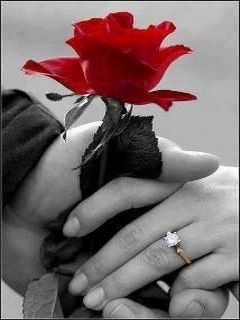 I MARRIED A STRANGER BY Falguni (prologue)