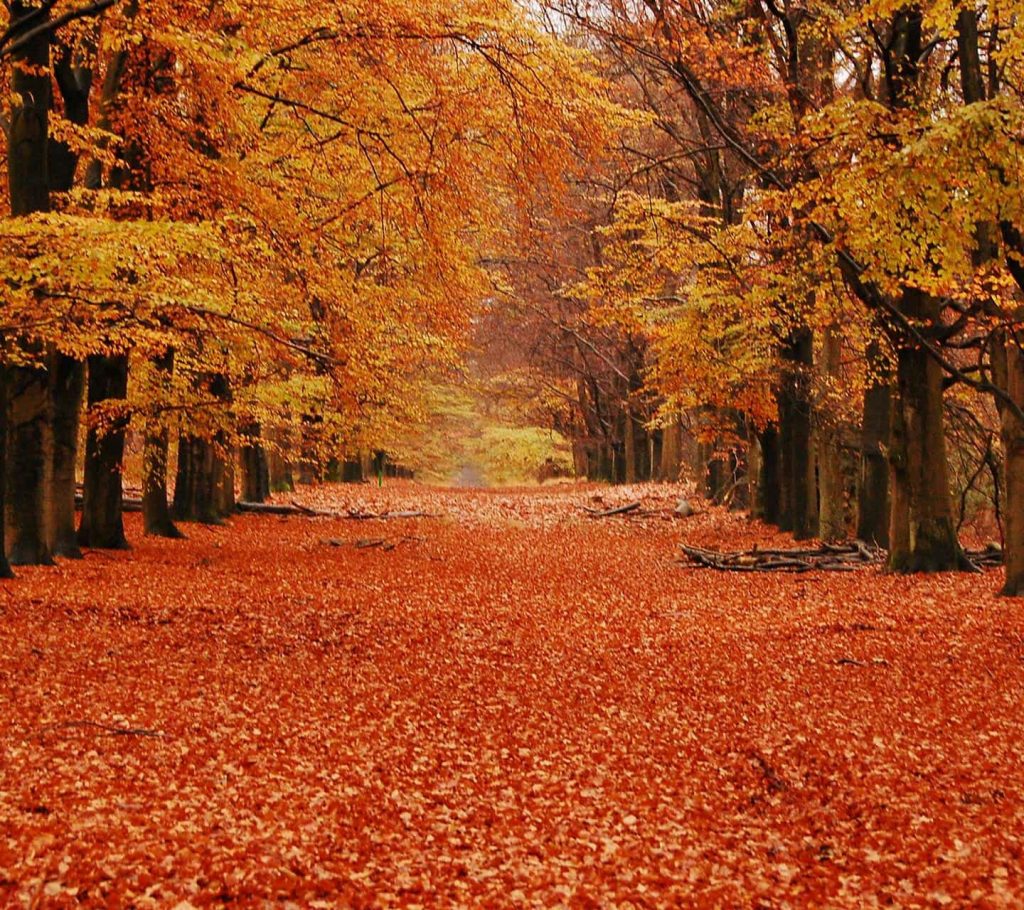 Meri dil ko doka-episode 3