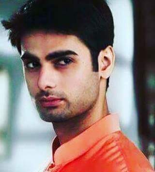 Humrahi ( segment 41 )