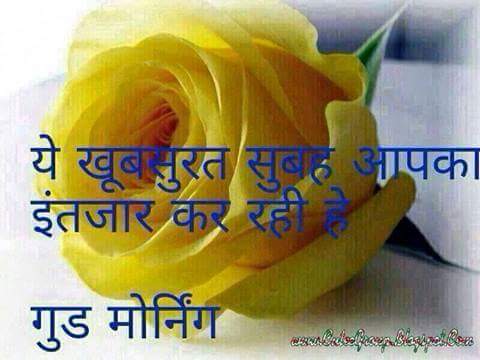 that’s why I love you