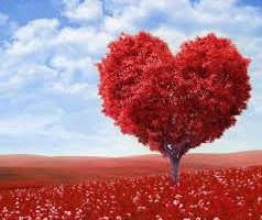 twinj fans please must read part2