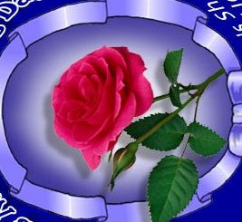 Swasan Pyar to hona hi tha – Introduction