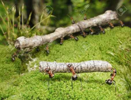 Vampires Vs Werewolf (epi 20) last part