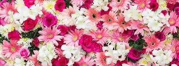 “FIRST LOVE IS ALWAYS FIRST” EPISODE 12