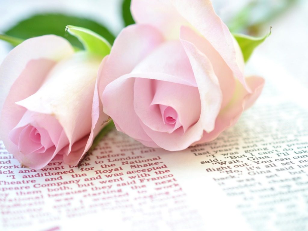 Kon hai jo sapno mein jo aya (promo 1)