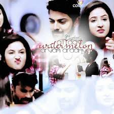 Krishnadasi: One stone two birds (Episode 5)