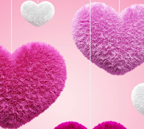 ROSID OS:YOU ARE MY BETTER HALF