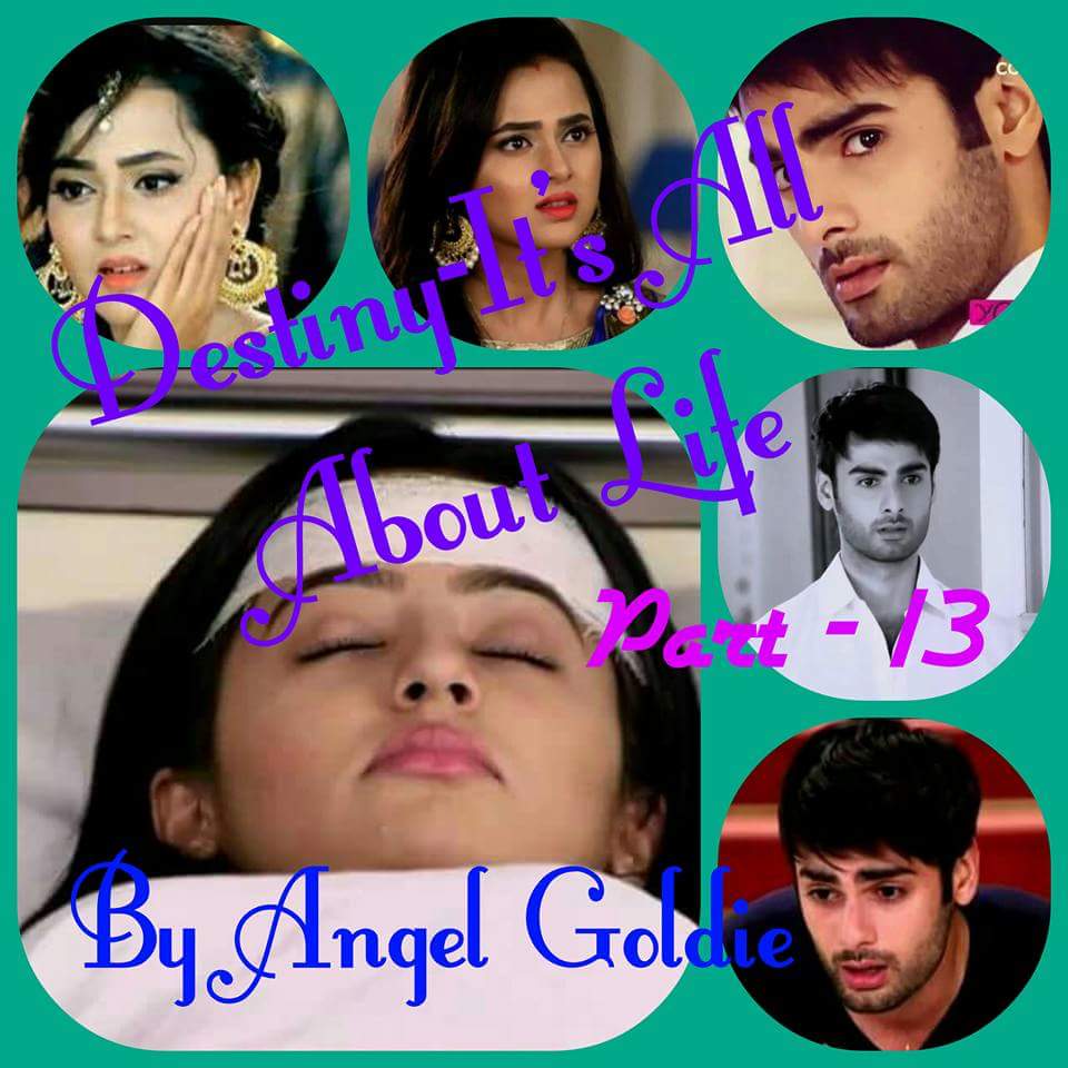 Destiny – Its All About Life ( SS on SwaSan/RagSan ) By Goldie Part 13