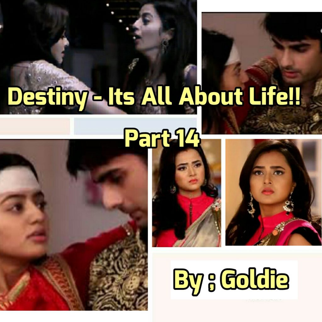 Destiny – Its All About Life ( SS on SwaSan/RagSan ) By Goldie Part 14
