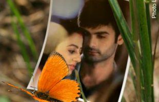 Fell in LOVE by mistake!! (EPISODE – 9)