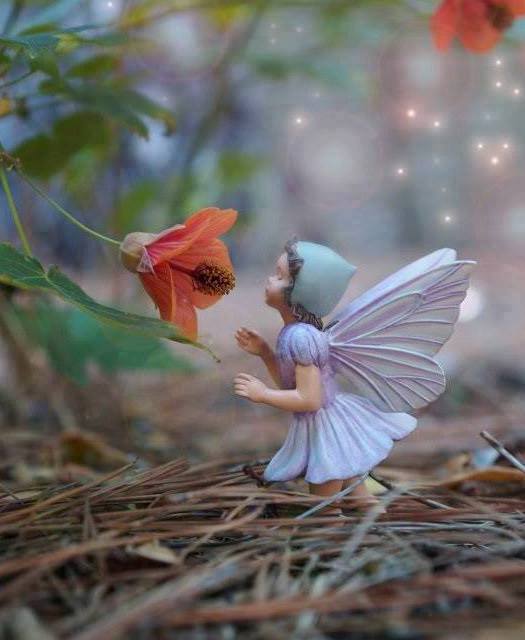 Sukor-My love Episode 04