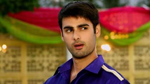 MY SHADOW MY COMPANION – It’s all about Sanskar Episode 14