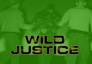 Swaragini _ Wild Justice