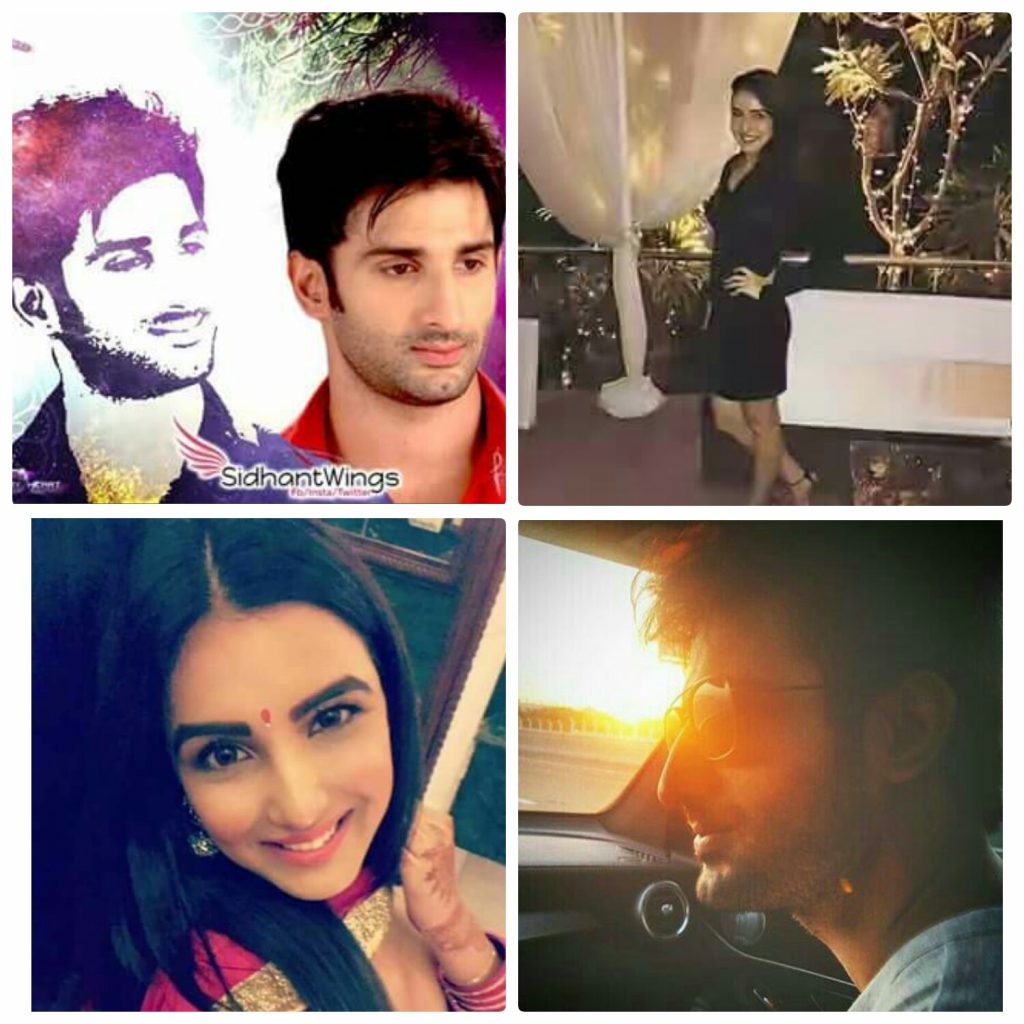 To propose the love of my life ~os … Happy propose day