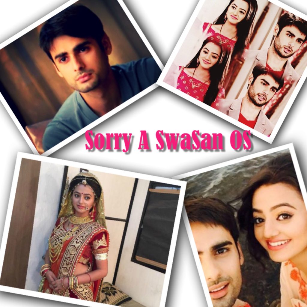 Sorry – A Swasan OS