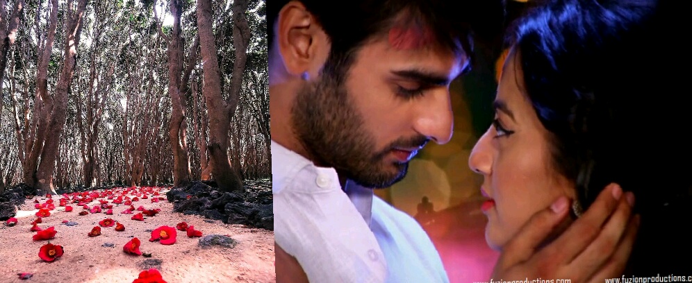 It’s not revenge it’s love swasan season 4 ( luck and fate will be you )”Her decision” PART 4