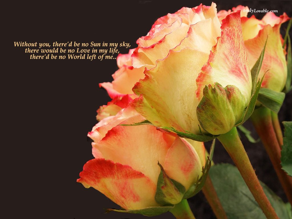 FINDING MY LOVE….. ANIKA Shivika ff Intro