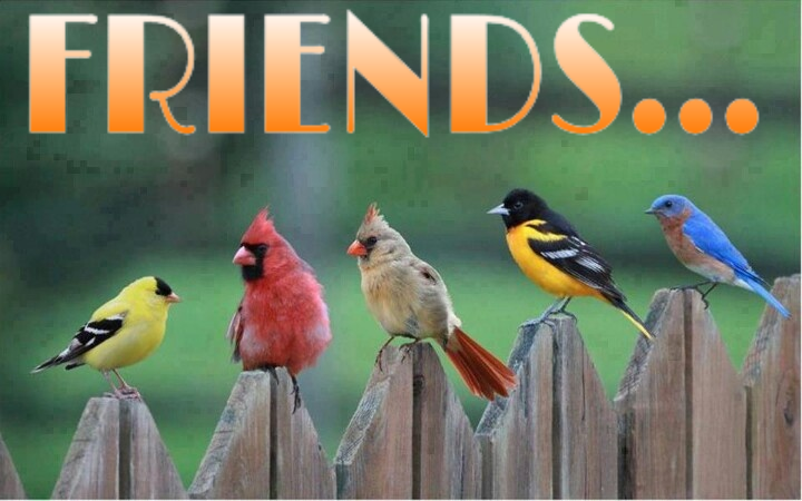 DISTANCES DO NOT MATTER IN FRIENDSHIP @T.U. (O.S. IB & KKB)