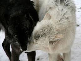 BY THE MOON (ABHIGYA) Part 1