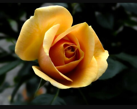 A secret of Sanchi (Part 5)