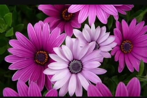 A secret of sanchi (Part 15)