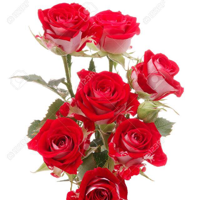 The Real Love (part 1)