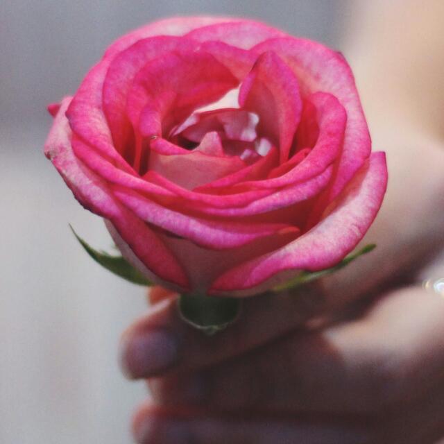 ISHQ KIYA TOH DARNA KYA : SHIVIKA FF – Episode 1