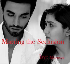 Marring the Seclusion (part 2)