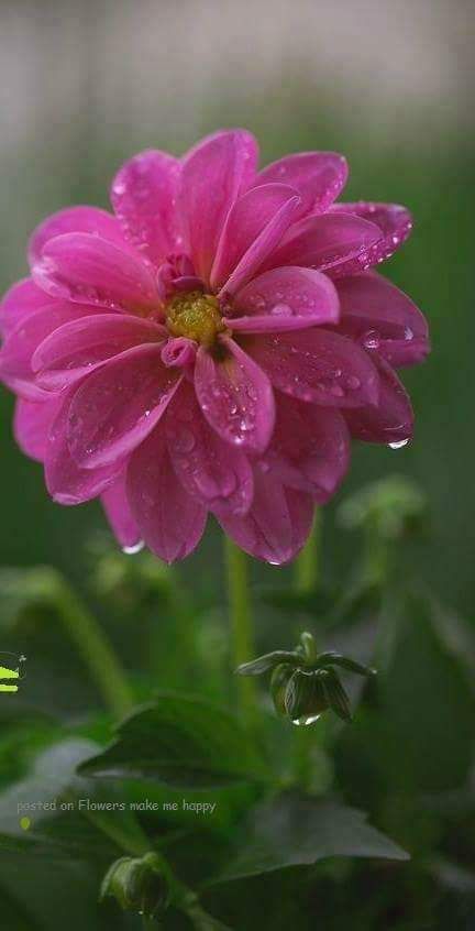 Rab ne bana diya jodi (part-8)