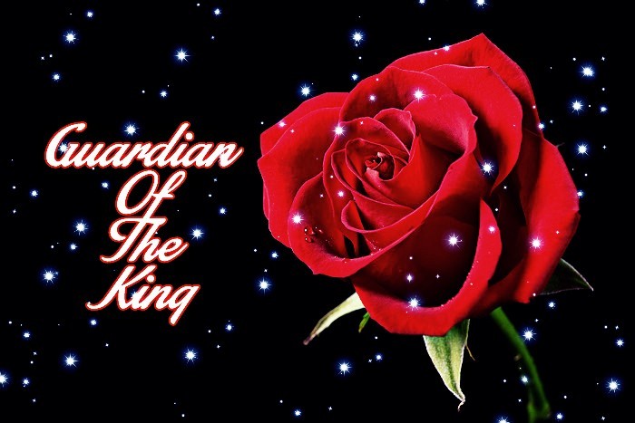 GUARDIAN OF THE KING | E-03 : DANGER IN THE GRAND WEDDING