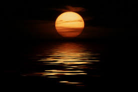 Why is nandini alone being blamed?