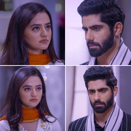 Love, Romance, and Revenge #Riansh episode 18