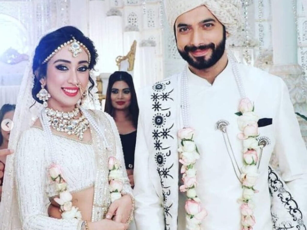 Naagin 5: Veer to marry Priyamvada Kant’s character in the show?