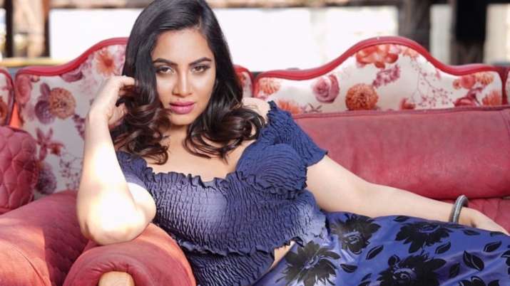 Arshi Khan talks about the man she wants to find!!