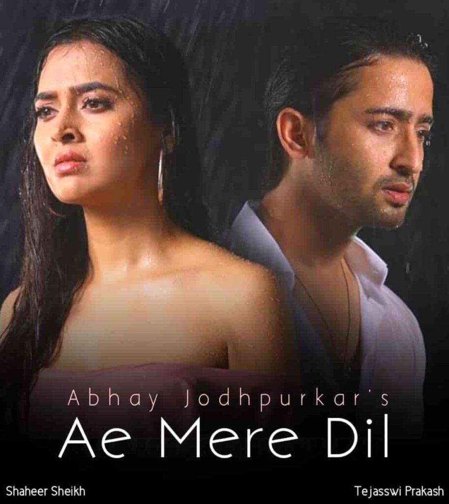 Ae Mere Dil SS – Don’t Repeat The Mistake Again Part 10 (LAST)