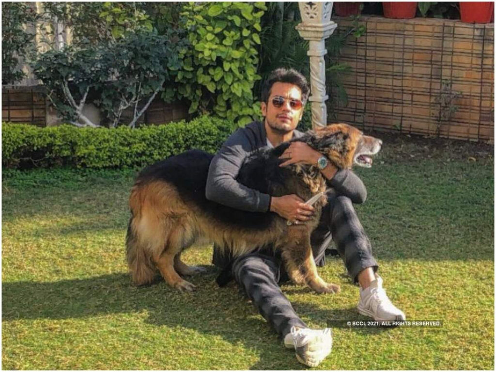 Gaurav Bajaj: It wasn’t easy to overcome the loss of my dog