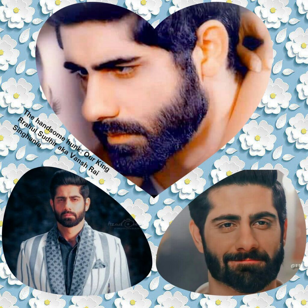 The handsome hunk: Our King Rrahul Sudhir aka Vansh Rai Singhania. #Rrarmy Part 8