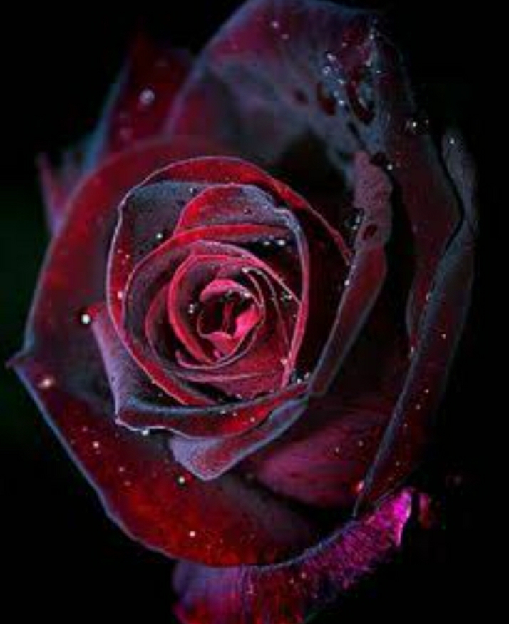 My love for you knows no limits CHAPTER 1